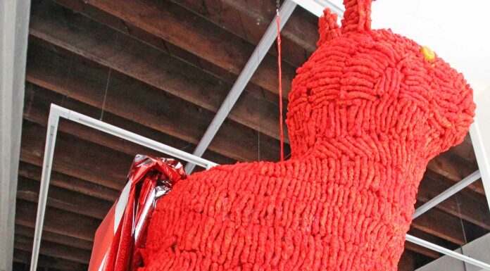ruben dario villa gallery 1202 flamin hot cheetos art exhibit