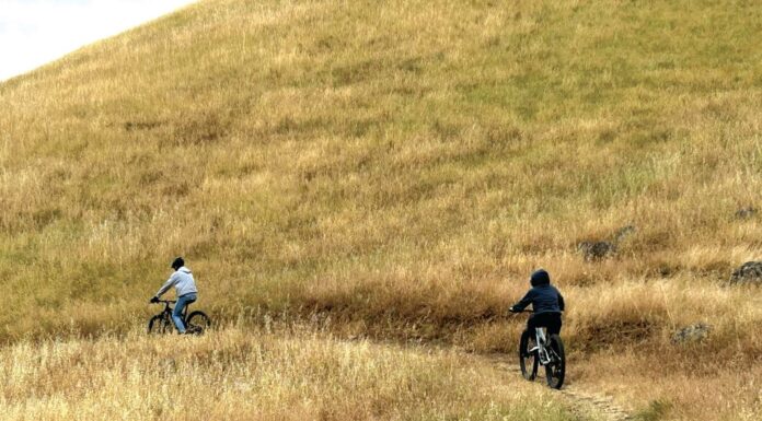coyote lake Harvey Bear Ranch County Park bicyclists