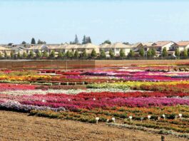 homes hecker pass highway gilroy