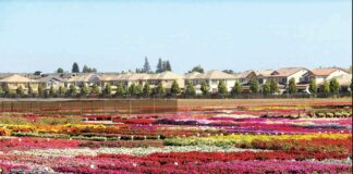homes hecker pass highway gilroy