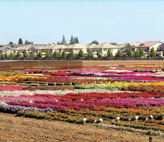 Buyers, be open-minded homes hecker pass highway gilroy