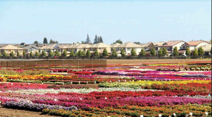 homes hecker pass highway gilroy