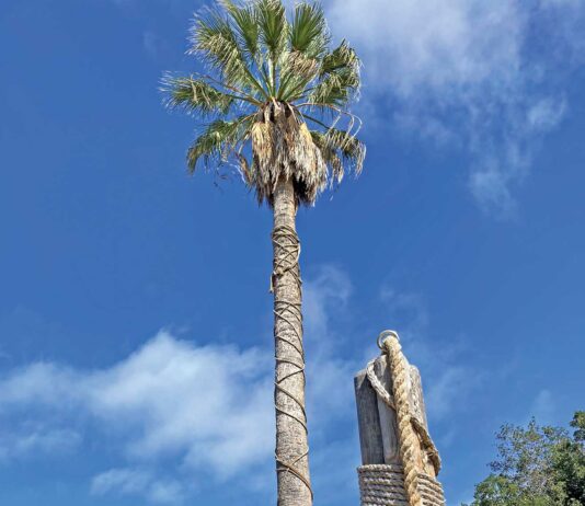 christmas hill park gilroy garlic festival shooting memorial