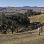 Image for display with article titled Julie Hutcheson named executive director of Green Foothills