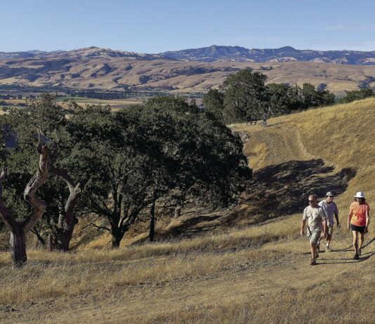 Julie Hutcheson named executive director of Green Foothills