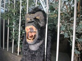 world's largest haunted house