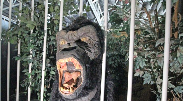 world's largest haunted house