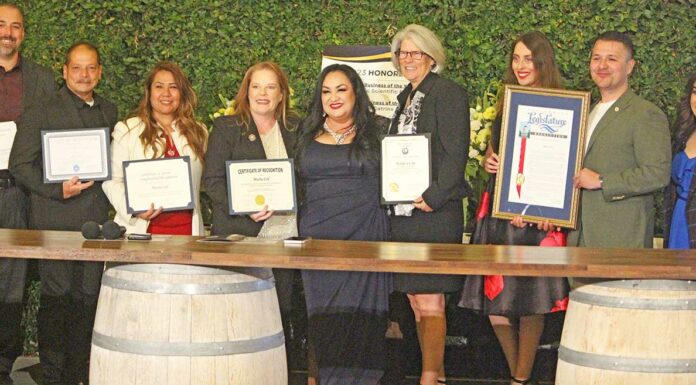 maria cid san benito county chamber woman of the year
