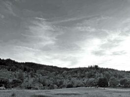 steven pattie photography