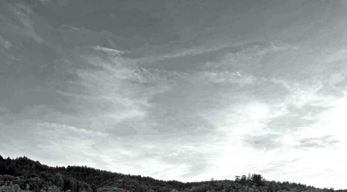 steven pattie photography