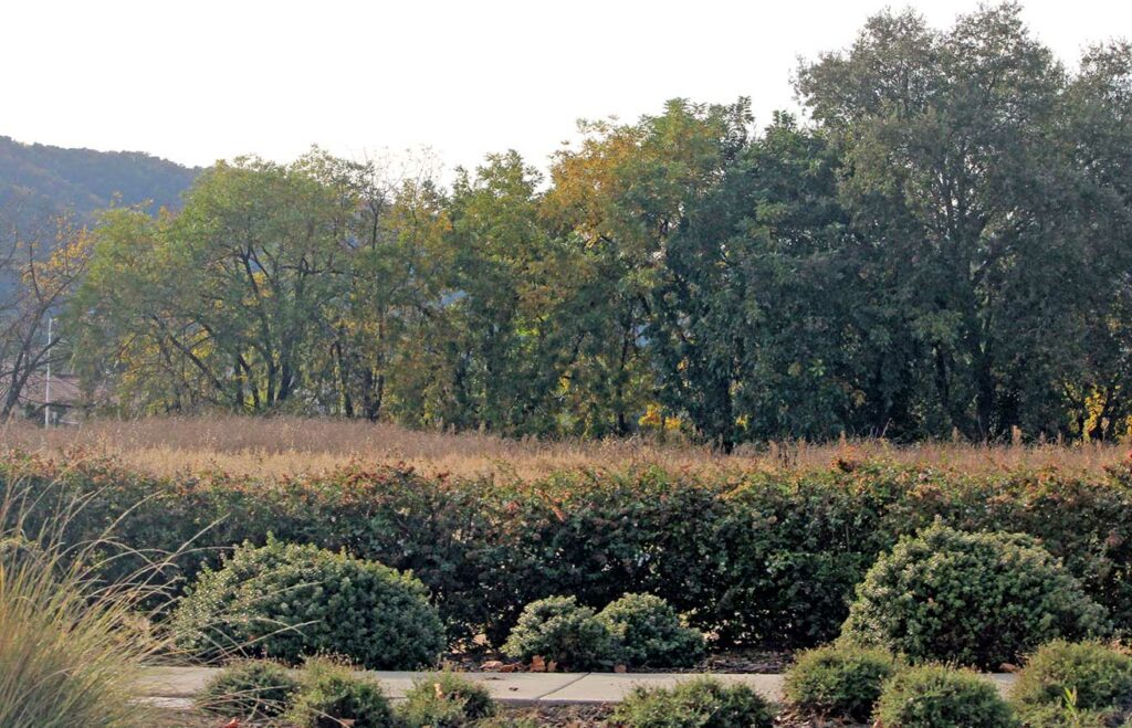 2740 hecker pass road