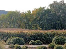 2740 hecker pass road