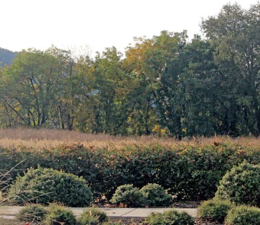 2740 hecker pass road