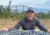 john bannister j winston winery