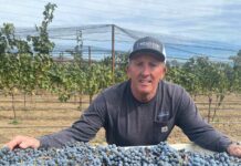 john bannister j winston winery