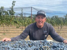 john bannister j winston winery