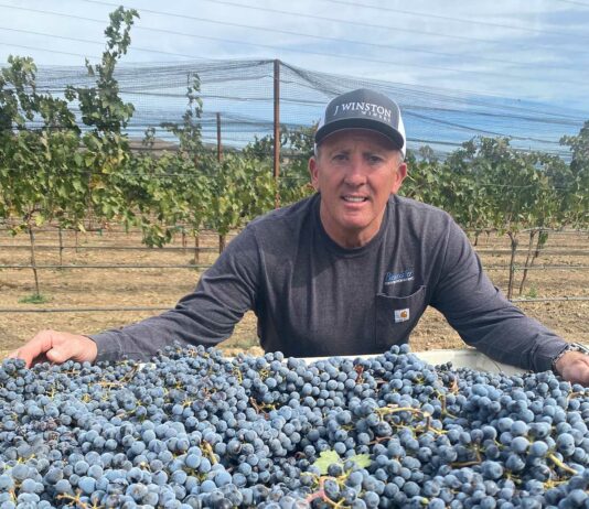 john bannister j winston winery