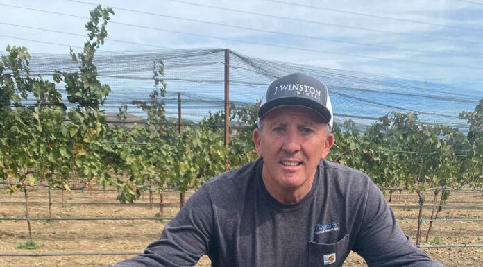 john bannister j winston winery