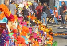 la ofrenda festival downtown gilroy
