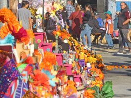 la ofrenda festival downtown gilroy