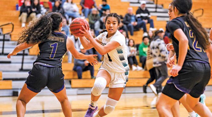 christopher high school girls basketball