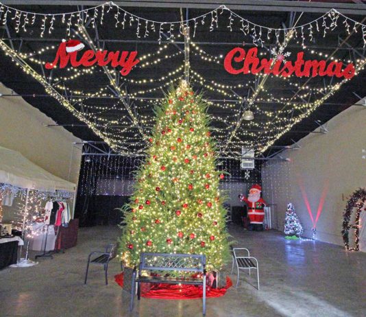 Holiday-themed maze and roller skating rink opens in Gilroy garlic city lights