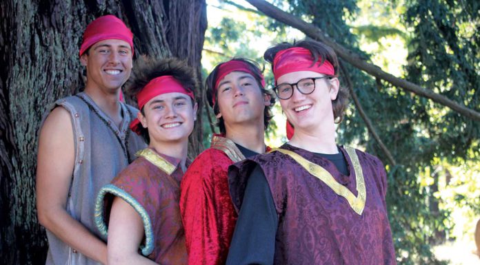 mount madonna school into the woods