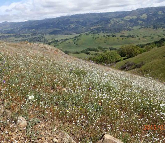 Ranch purchase adds to Bay Area Ridge Trail plan