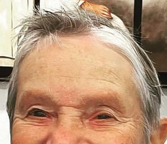 Local women’s sports pioneer Susan Dodd dies