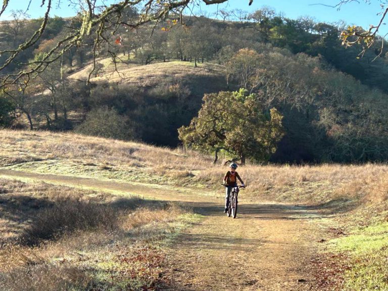 Spoking My Mind: Blarney, breakthroughs, bikes and bye-byes! 