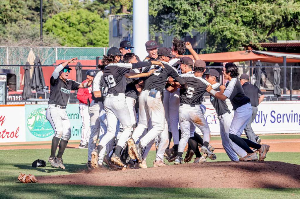 Image for display with article titled Christopher Baseball Nails Third CCS Title in Five Years