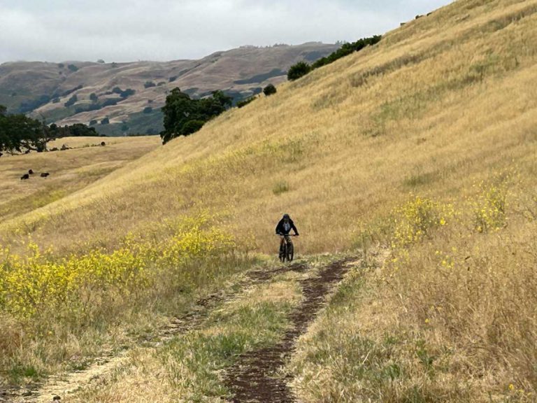 Spoking My Mind: Cycle Saluting and Supporting