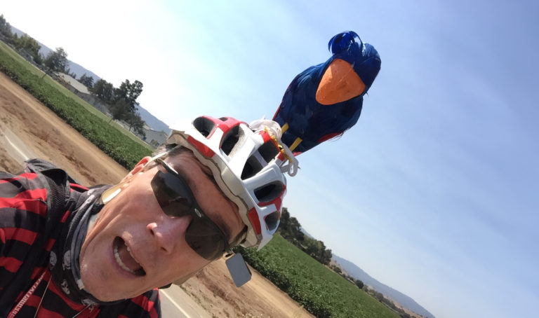 No cars, loud ARRRs and secret stars