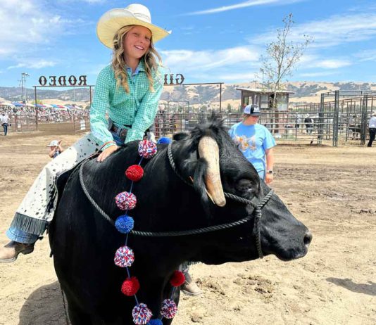 Rodeo heritage thrives