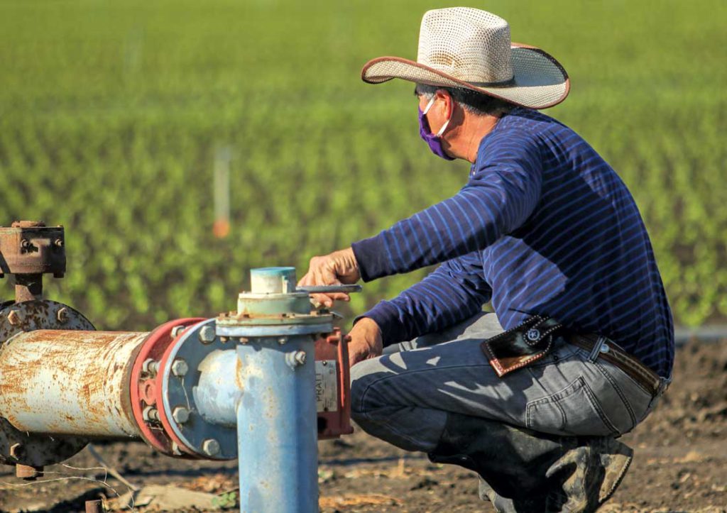 Image for display with article titled New Law Allows More Farmworker Housing Development in Santa Clara County