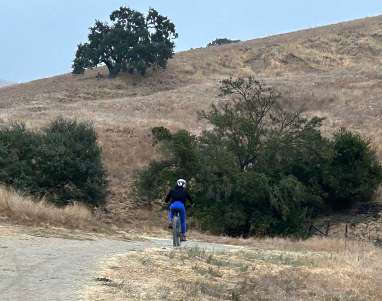 Spoking My Mind: Noticing November