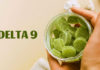best delta 9 gummies