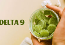 best delta 9 gummies