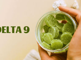 best delta 9 gummies