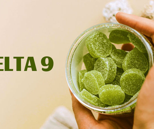 Best Delta 9 Gummies: Top 8 THC Edibles for Taste & Flavor best delta 9 gummies