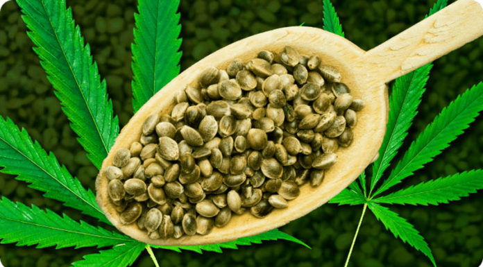 11 Best Seed Banks: Top Seed Banks for Quality Cannabis Seeds Best Seed Banks