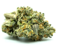 Strongest Weed Strains