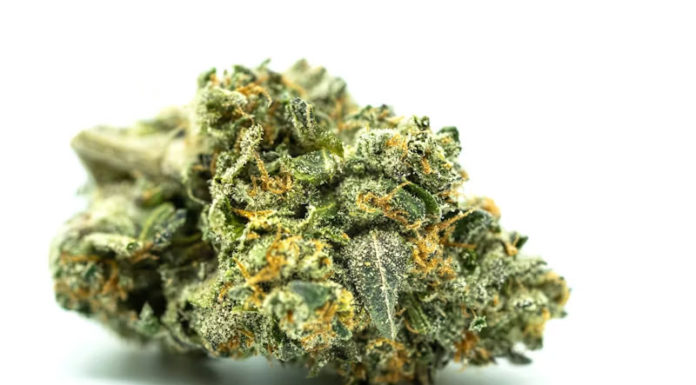 Strongest Weed Strains