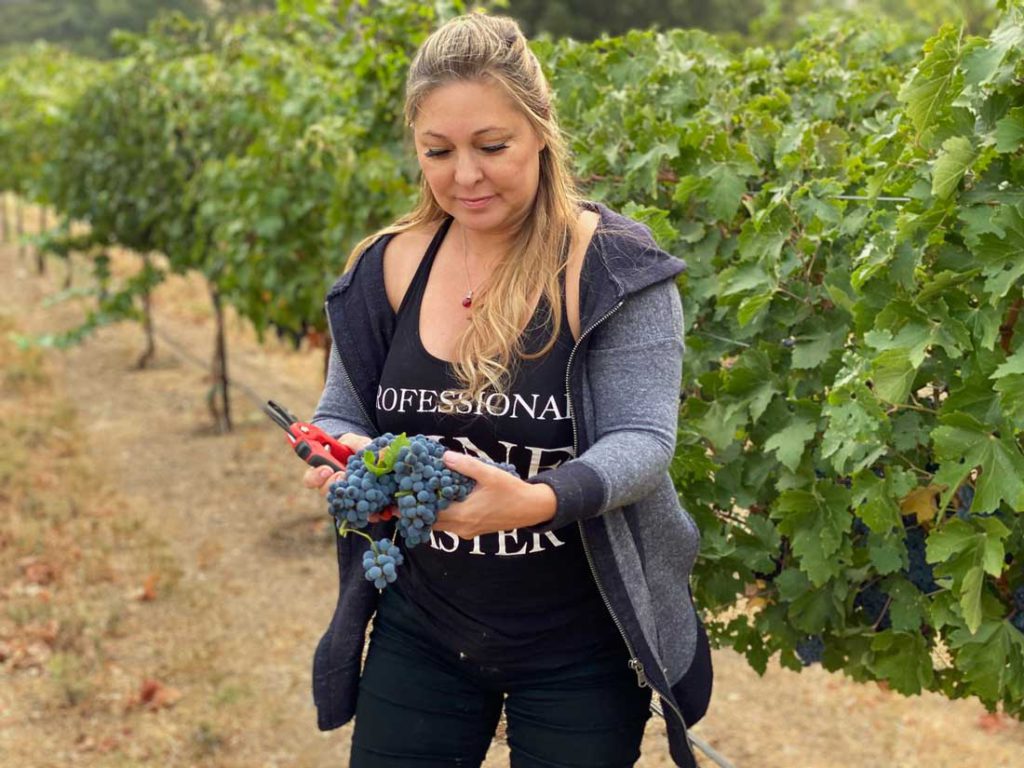 Image for display with article titled March 23 Panel Focuses on Women in the Santa Clara Valley Wine Industry