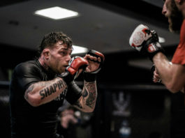 ufc betting sites