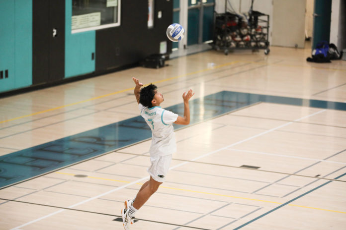Christopher Volleyball
