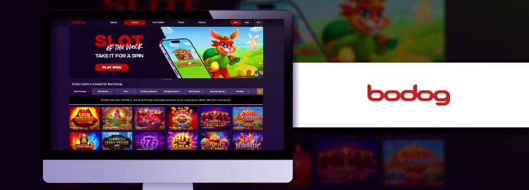 bodog