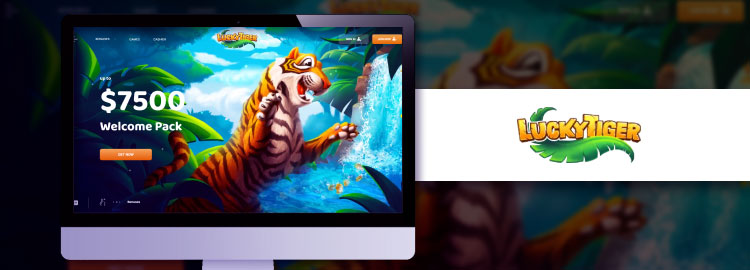 lucky tiger