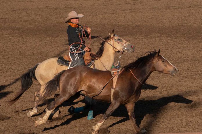 Gilroy Rodeo