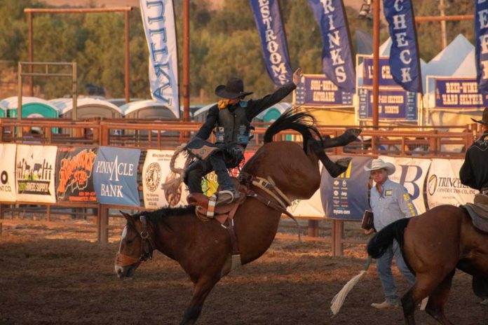 Gilroy Rodeo